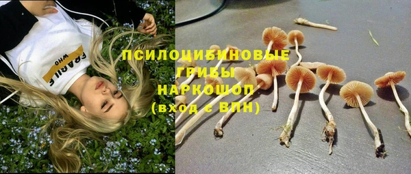 mdpv Сосновый Бор