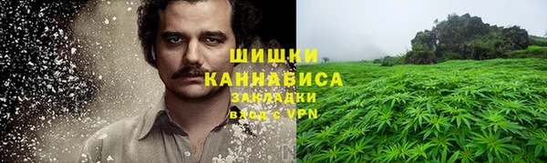 крисы Магадан