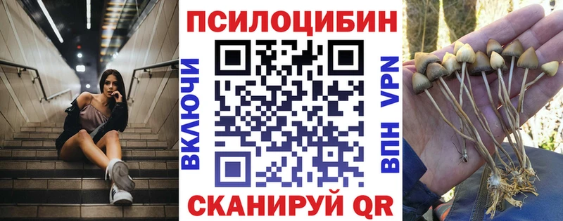hydra ссылка  Лахденпохья  нарко площадка формула  Псилоцибиновые грибы Psilocybine cubensis 